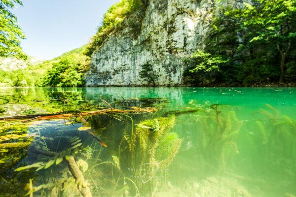 Waterworld, Wandbild, Bosnien, Nature, Green, Wasser, Wasserwelten,